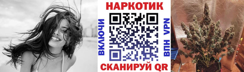 Где купить наркоту Новопавловск Alpha-PVP  Галлюциногенные грибы  Гашиш  Меф мяу мяу 