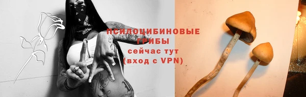 кокс Аркадак